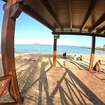 Drago 1 Atlantic Garden Corralejo
