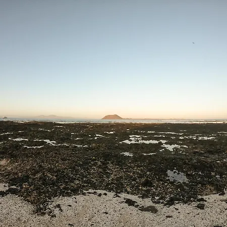 Drago 1 Atlantic Garden Κοραλέχο