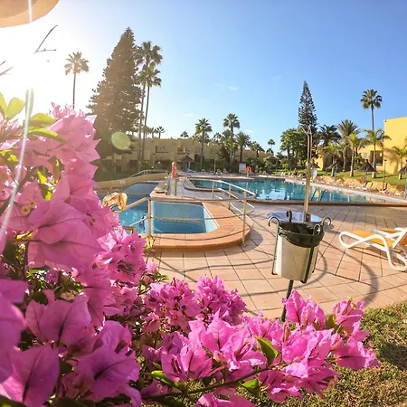 公寓 Drago 1 Atlantic Garden *