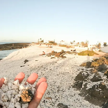 Drago 1 Atlantic Garden