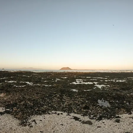 Drago 1 Atlantic Garden Corralejo